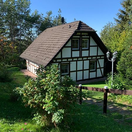 Die Kleine Ferienvilla Edersee Frankenau 外观 照片